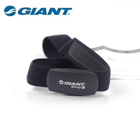 GIANT Bluetooth ANT Digital Heart Rate Belt Bike Computer BLE 2 IN 1